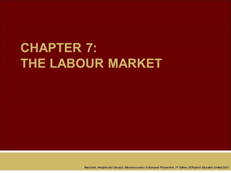 CHAPTER 7: THE LABOUR MARKET